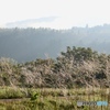 山里の秋