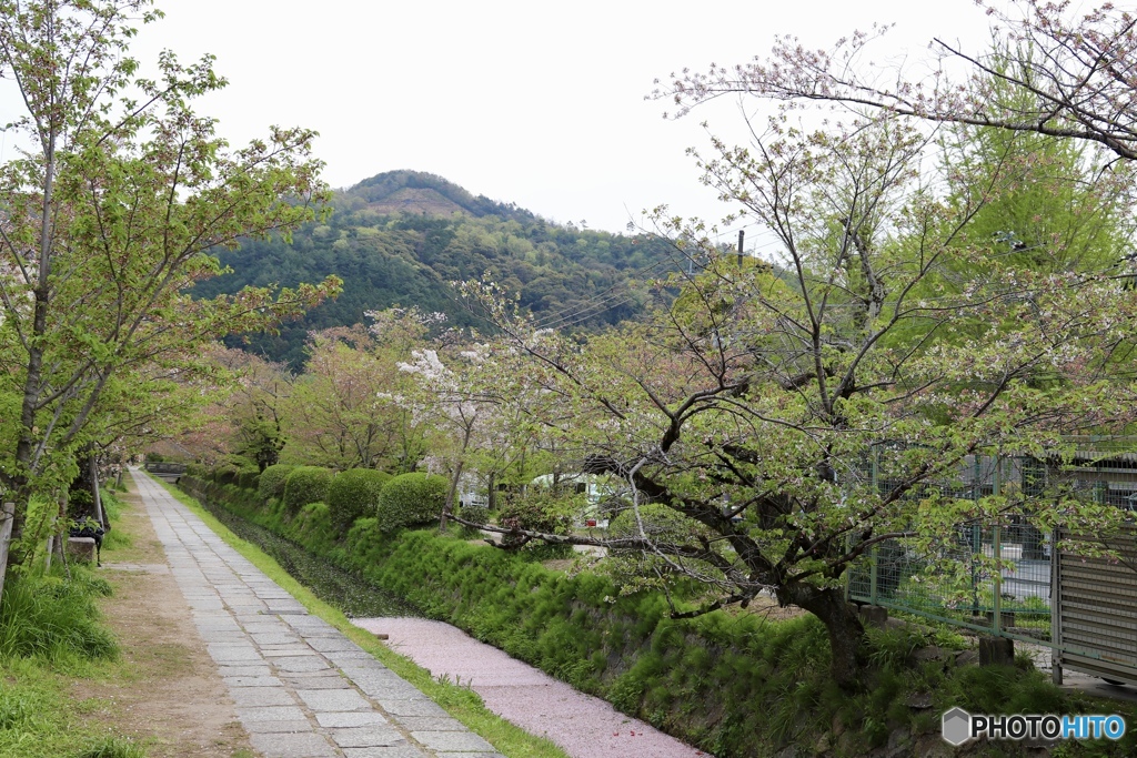 祭りの後