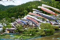 山里の鯉のぼり　２