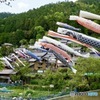 山里の鯉のぼり　２