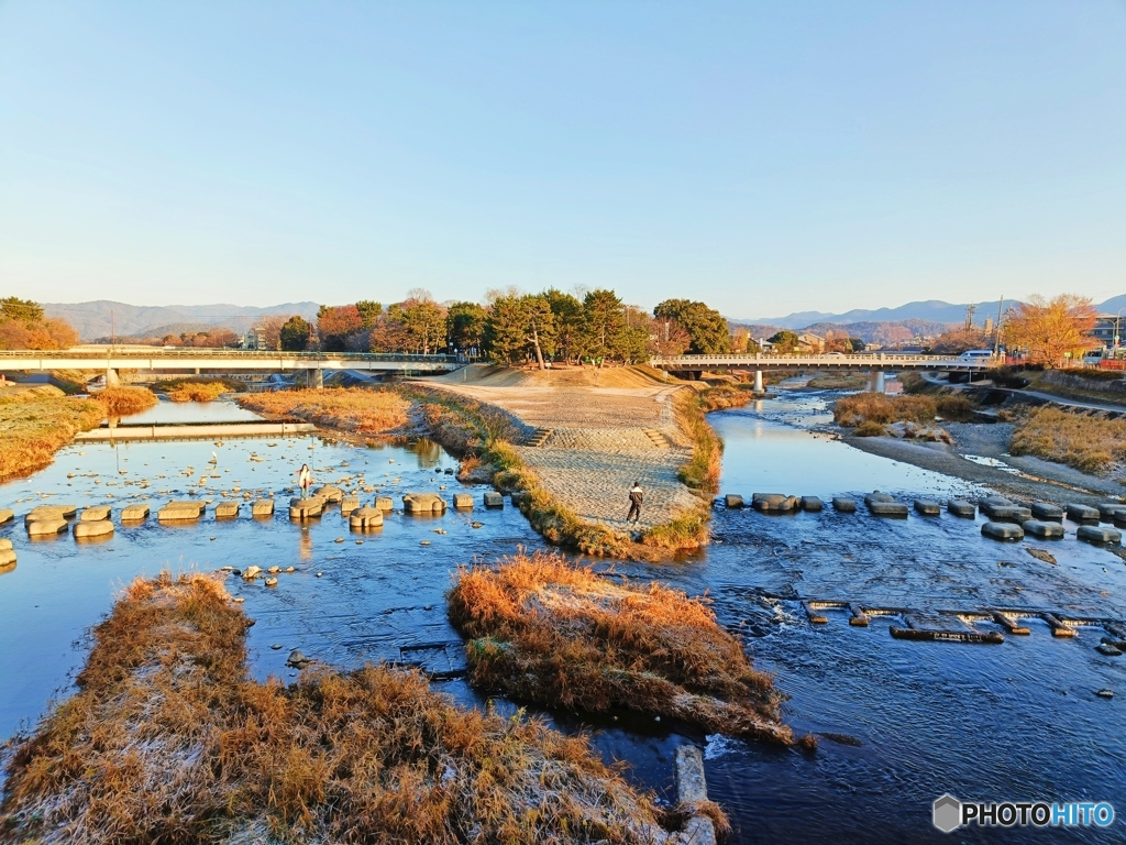 鴨川冬景色
