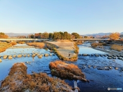 鴨川冬景色