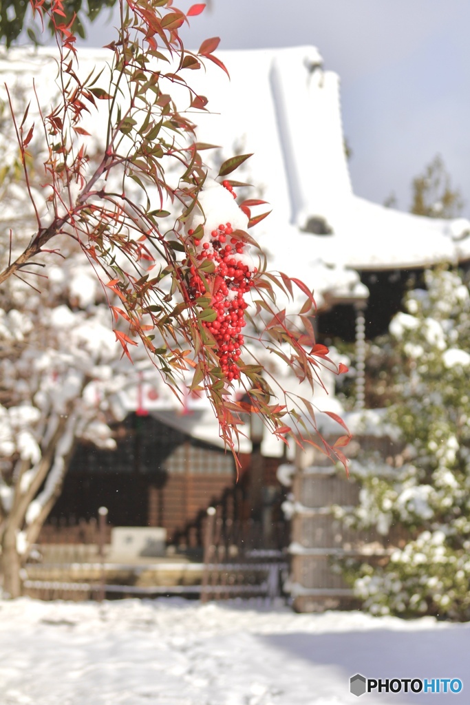 雪景色　４