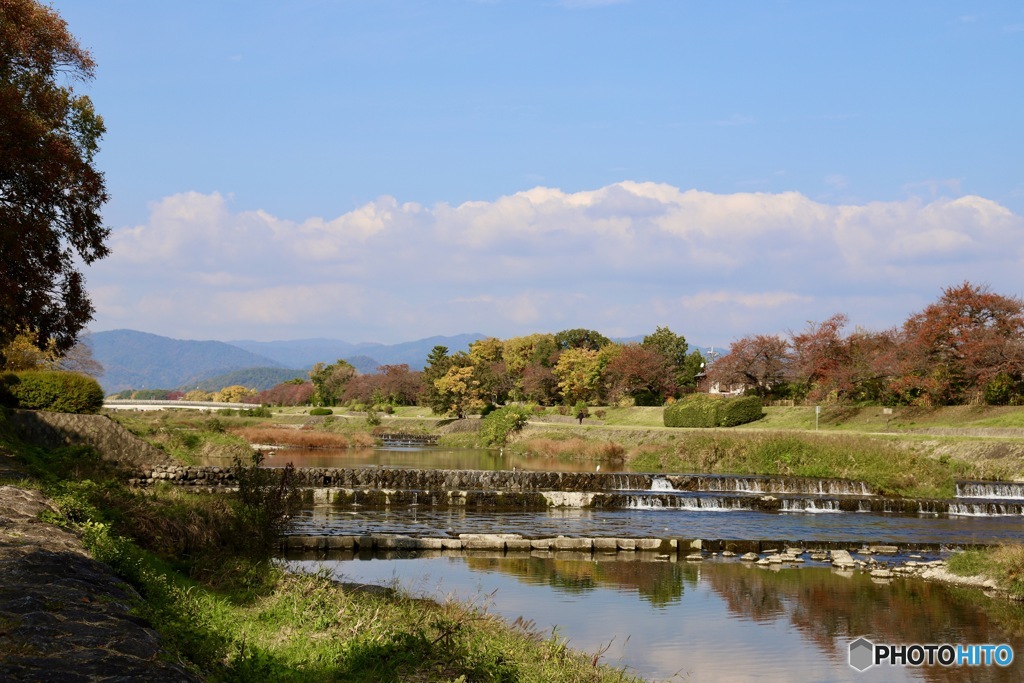 賀茂川秋景色