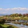 賀茂川秋景色