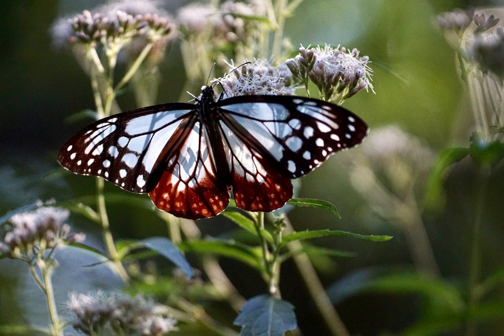 美味しいね １６