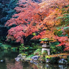 成田山公園の紅葉