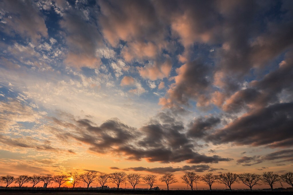 冬の夕景