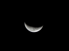 IMG_0179