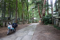 DSC02241