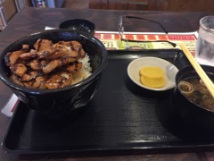 日本一周