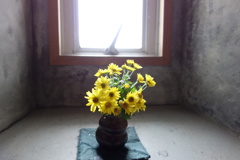 お花