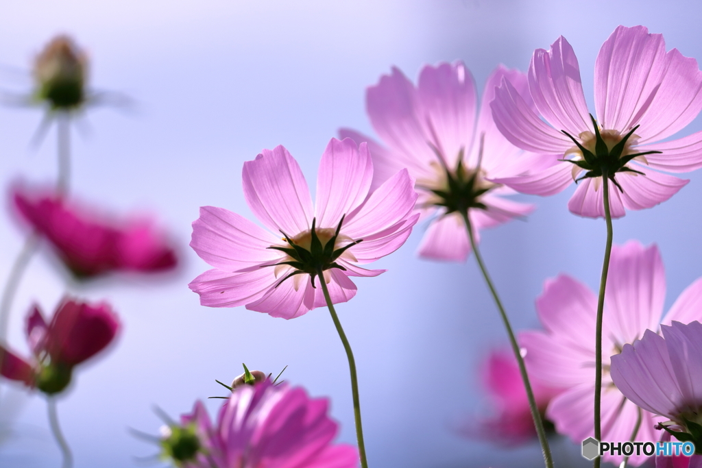 青空に微笑みを・・