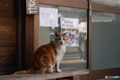 お店番