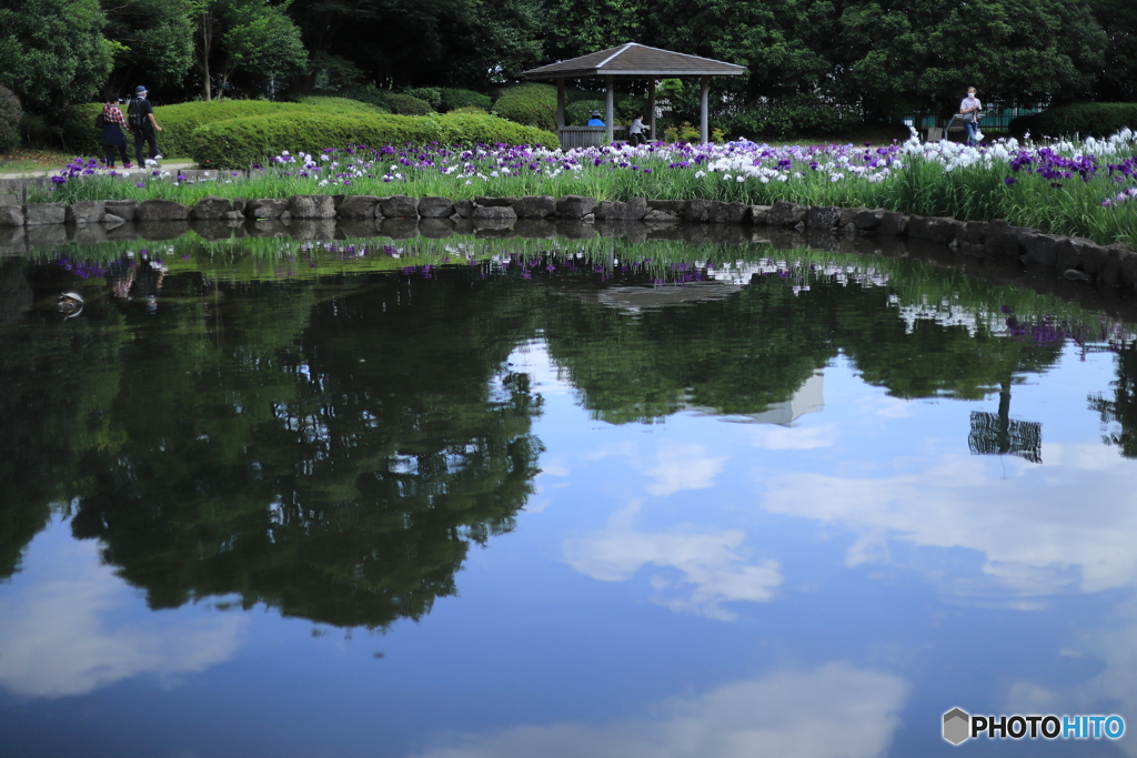 菖蒲園