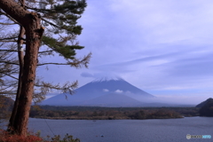 精進湖の秋