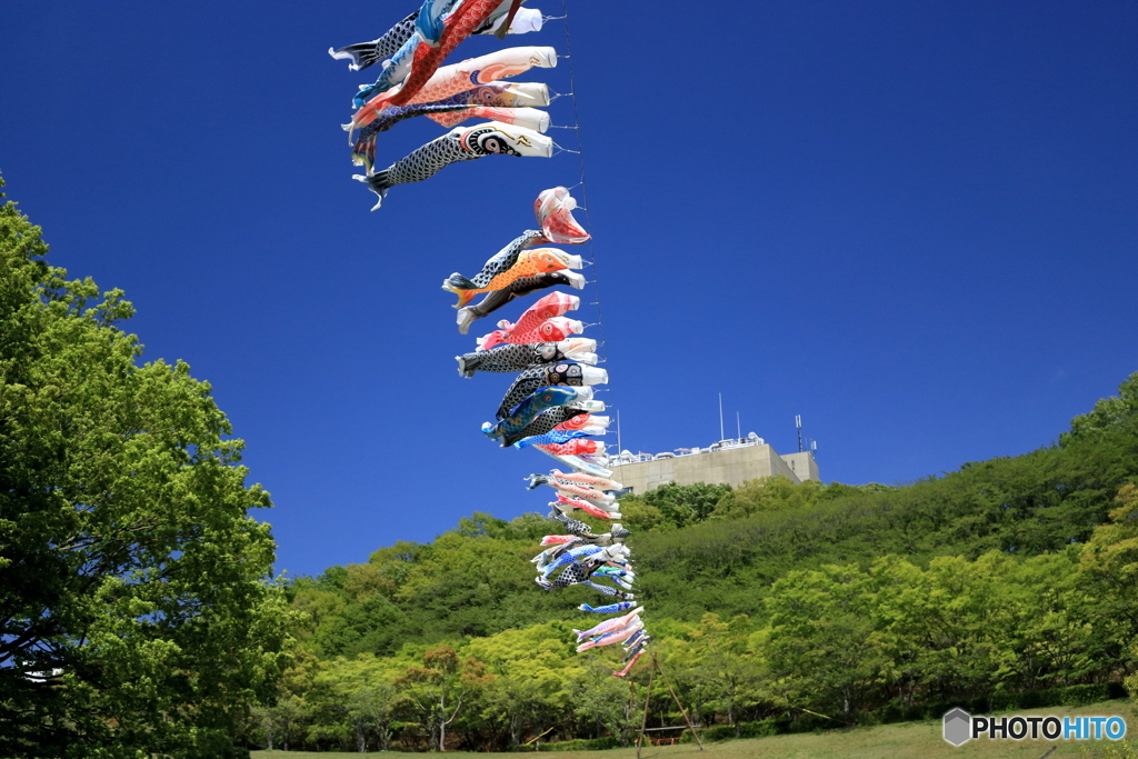 空高く