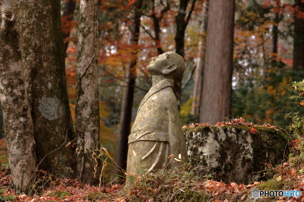 長安寺　紅葉③
