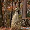 長安寺　紅葉③