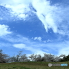 青空と桜