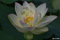神聖　その４