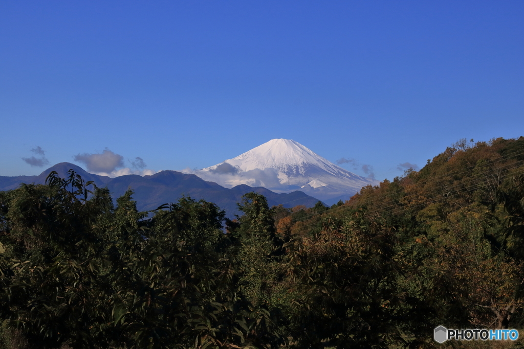 富士山