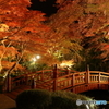 熱海梅園もみじ３