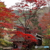 三溪園１