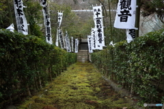 鎌倉石の苔の石段