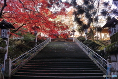 大雄山最乗寺　紅葉