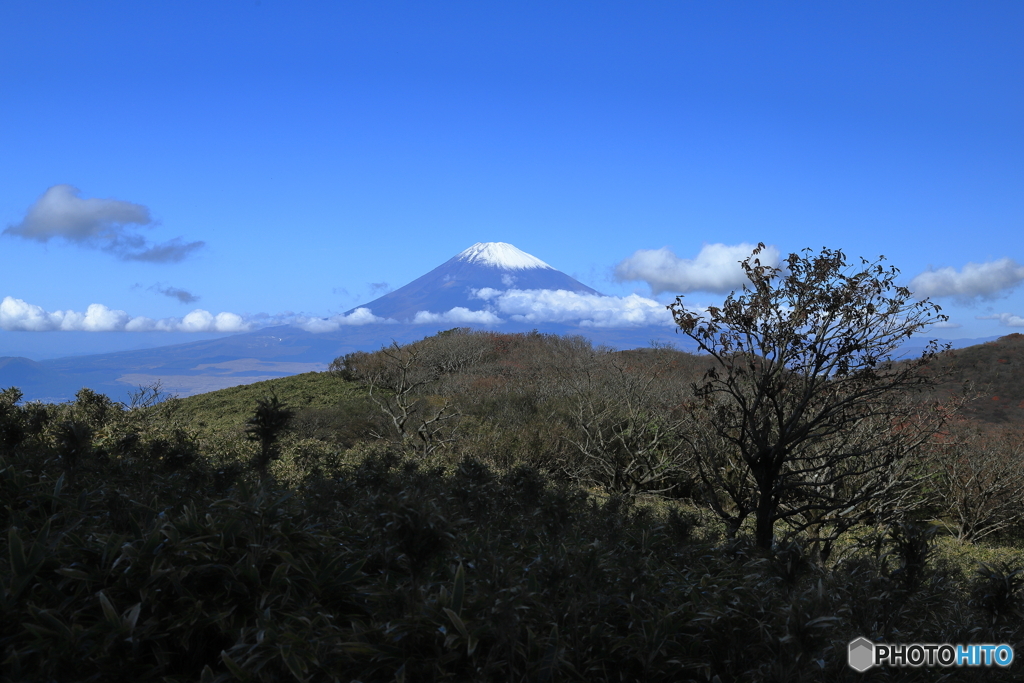 富士のお山