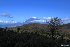 富士のお山