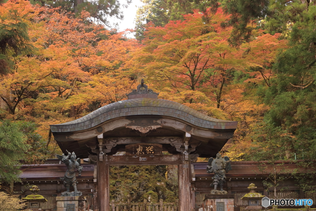 結界門よりの紅葉