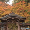 結界門よりの紅葉
