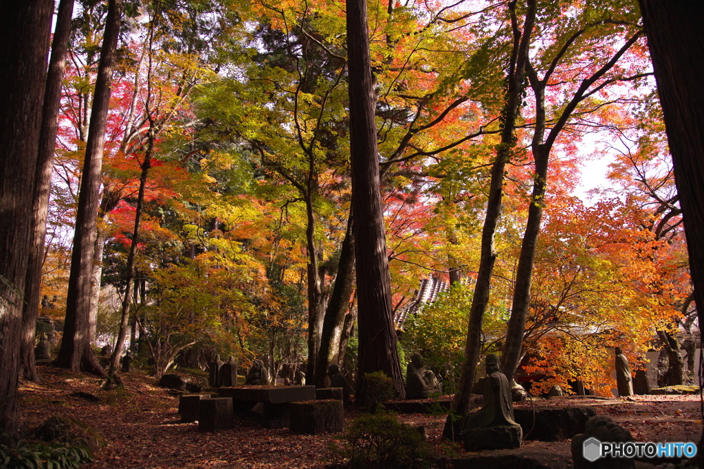 長安寺の紅葉