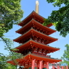 新緑と五重塔