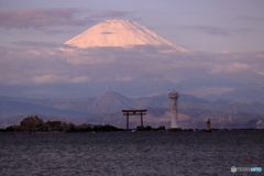 鳥居と灯台