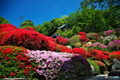 つつじ寺