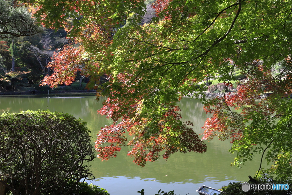 秋色を探す・・・③