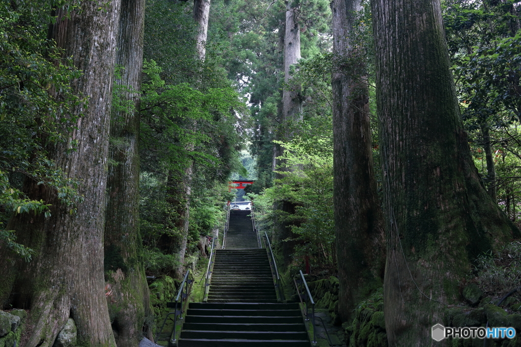 箱根神社