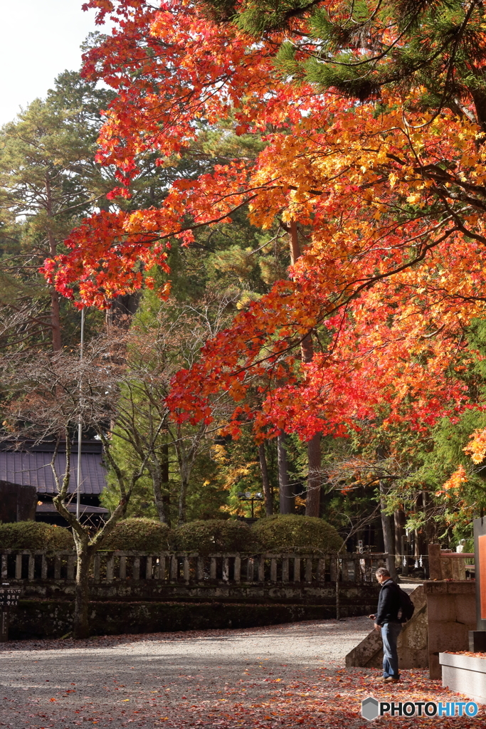 日本の秋