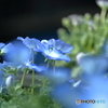 野の春・・・