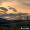 ススキと夕景