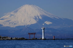 鳥居と葉山灯台