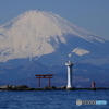 鳥居と葉山灯台