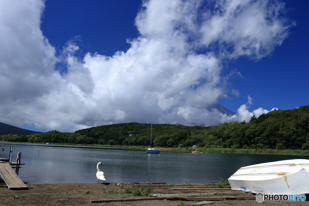 夏の富士五湖　その１