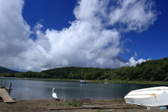 夏の富士五湖　その１