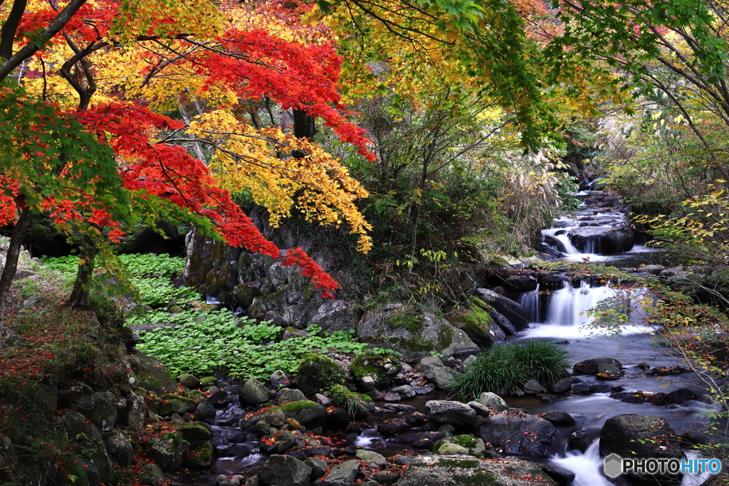  紅葉と清流