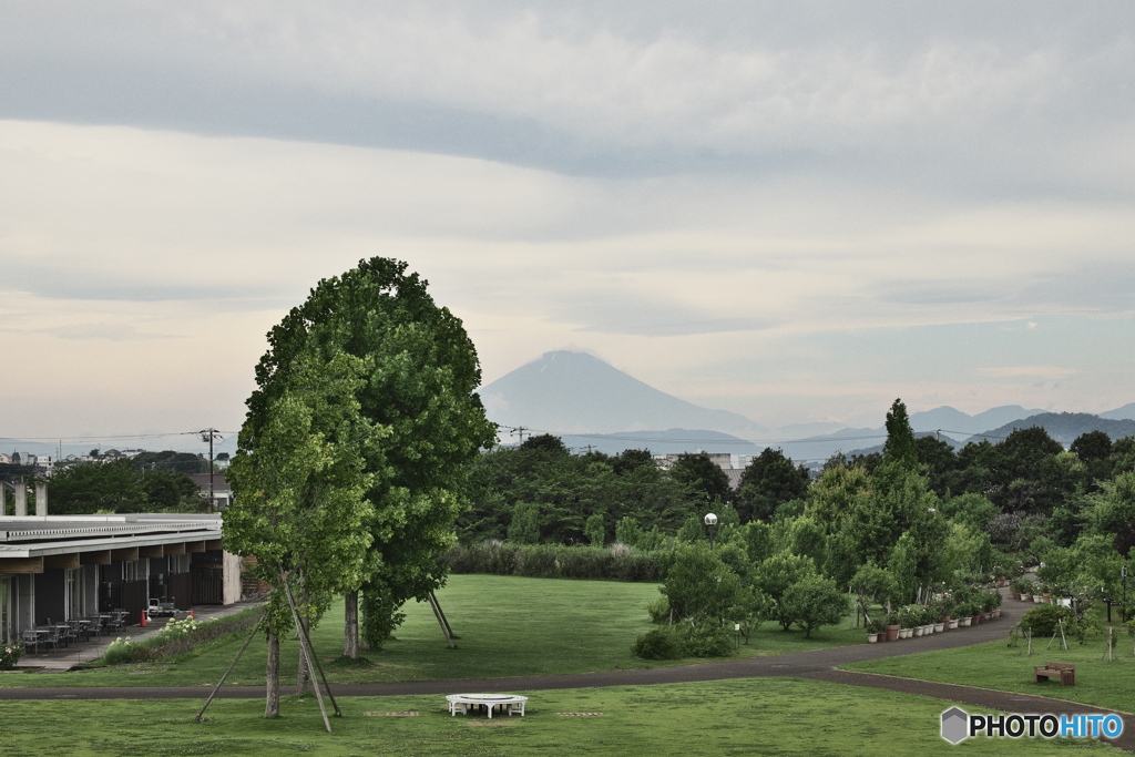 夏山　富士山