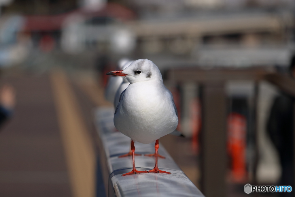 やすらぎ